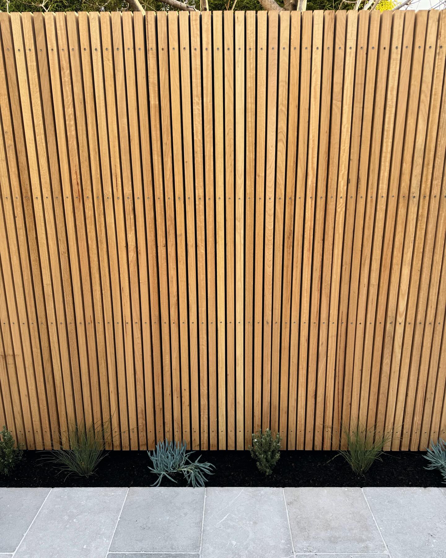Timber Screen Walk